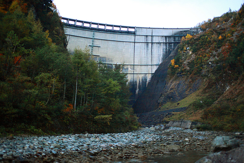 a0148606_11061290.jpg