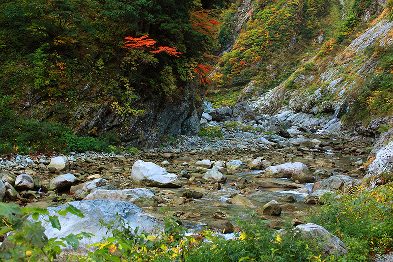 a0148606_11072597.jpg