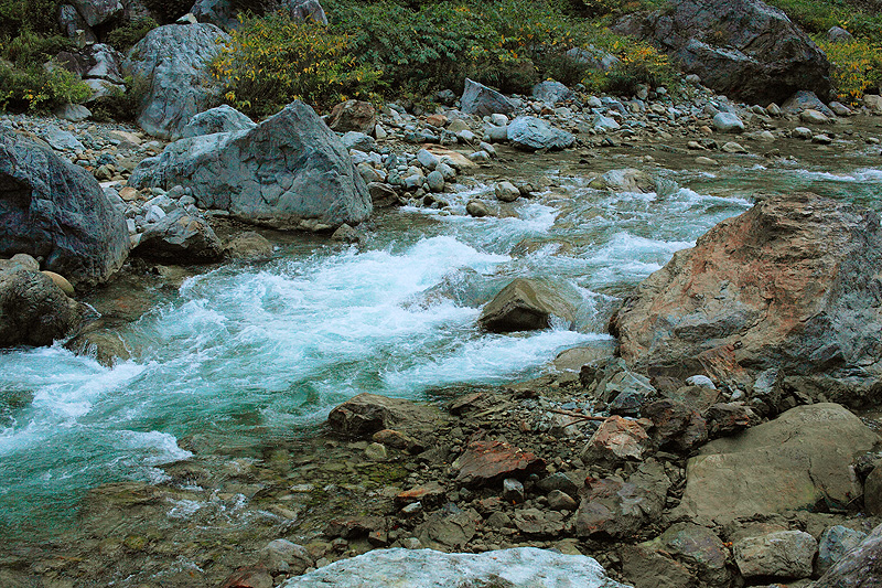 a0148606_11095343.jpg