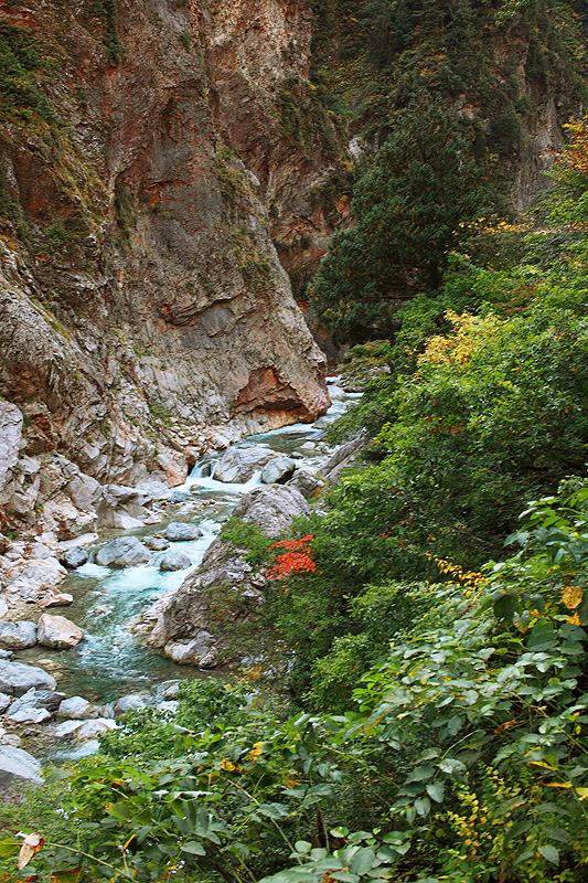 a0148606_11095426.jpg