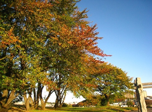 c0084117_186411.jpg