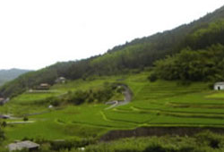 b0141023_14134610.jpg