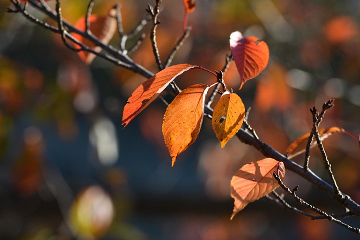 b0134829_1763973.jpg