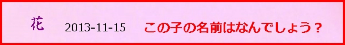 e0033229_21493717.jpg