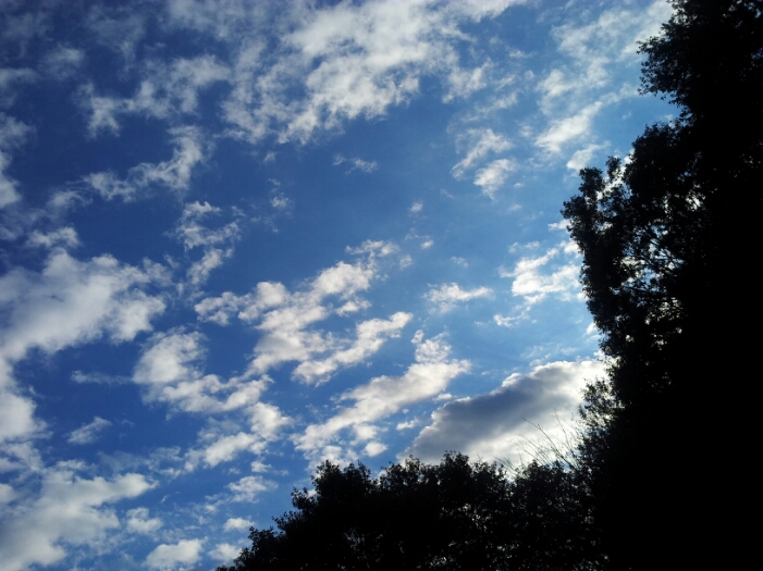 a0146431_23273619.jpg