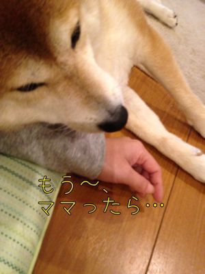 c0298732_23432625.jpg