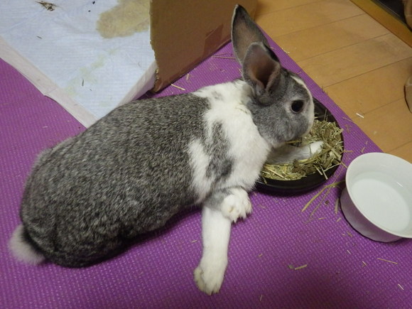 f0118332_20101043.jpg