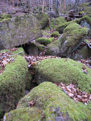 e0272335_10111963.jpg
