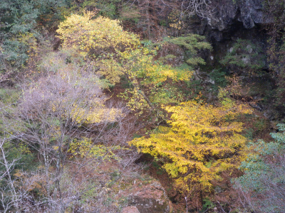 e0272335_10185989.jpg