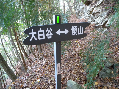 e0272335_5253336.jpg