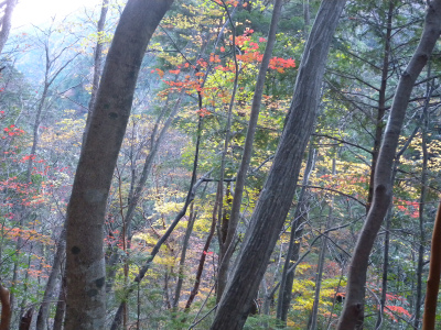e0272335_5322263.jpg