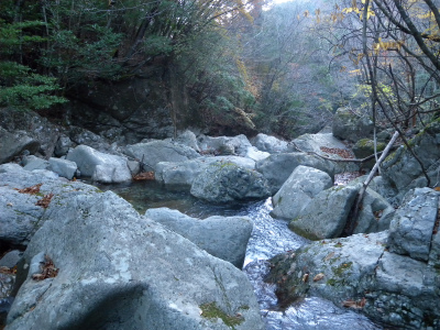 e0272335_5334937.jpg