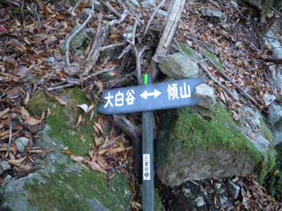 e0272335_5421314.jpg