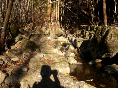 e0272335_5465051.jpg