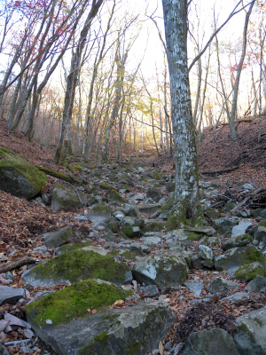 e0272335_825499.jpg