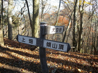 e0272335_8374045.jpg