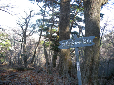e0272335_9171844.jpg