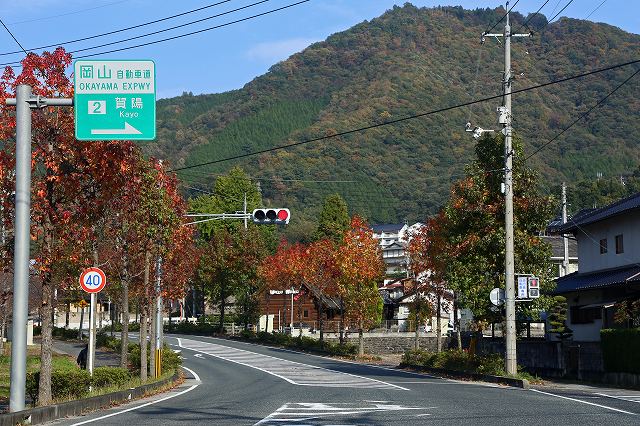 a0242438_20105432.jpg
