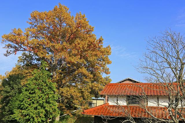 a0242438_201174.jpg