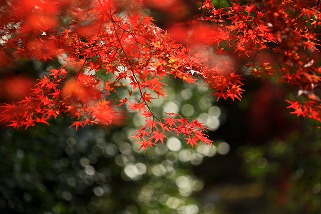 a0242438_2084448.jpg