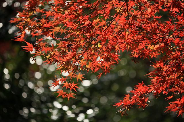 a0242438_2084871.jpg
