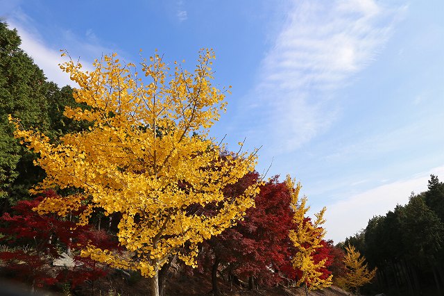 a0242438_2092860.jpg