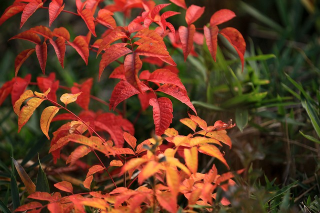 a0242438_2094620.jpg