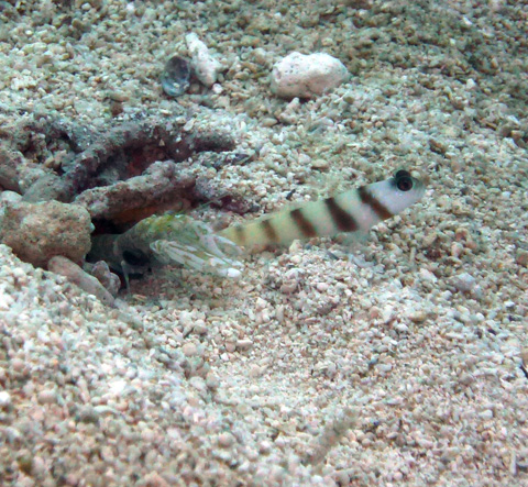 f0014842_13232060.jpg