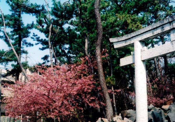 e0296043_3551988.jpg