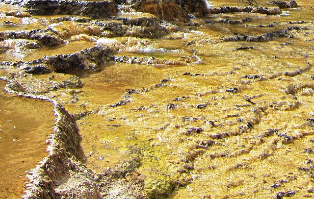 b0289649_9292074.jpg