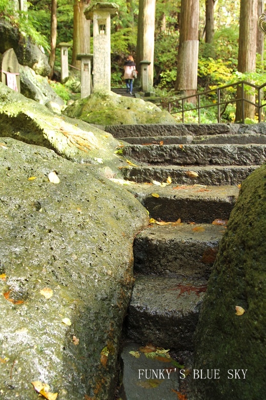 c0145250_177496.jpg