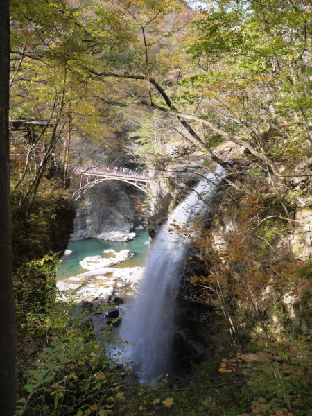b0282061_832060.jpg