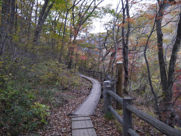 b0282061_9183075.jpg
