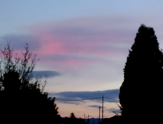 d0198667_17271676.jpg
