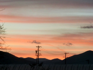 d0198667_1727728.jpg