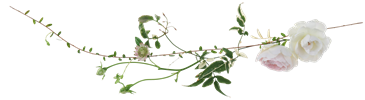 e0272870_2131417.png
