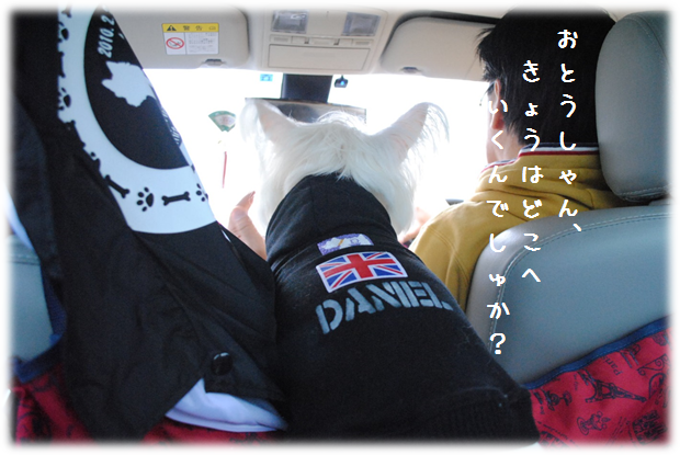 b0242873_14145473.png