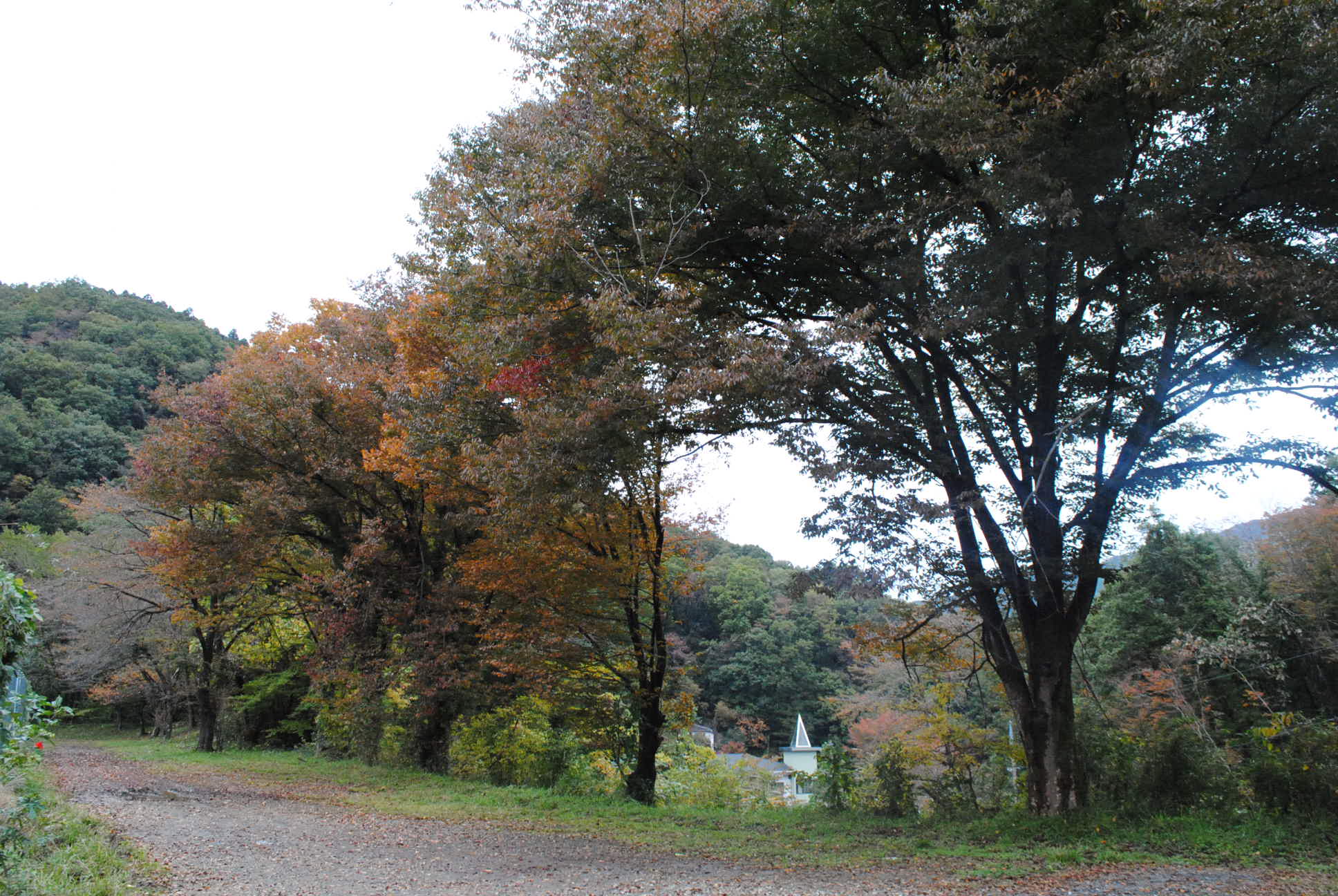 b0242873_14175841.jpg