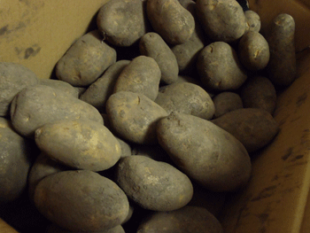 a0011280_15544026.gif