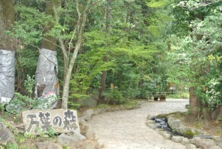 e0191481_22404774.jpg