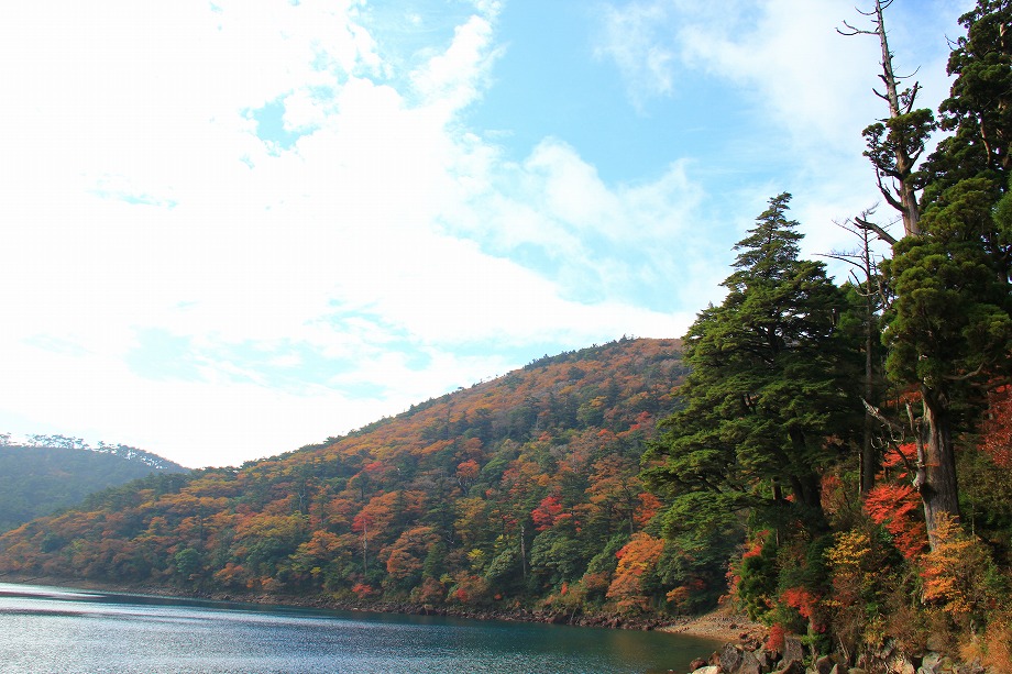 b0286982_11421279.jpg
