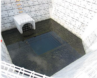 e0066586_11134680.jpg