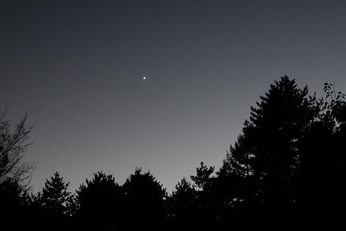 c0123890_2091548.jpg