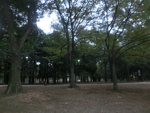 a0319693_945159.jpg