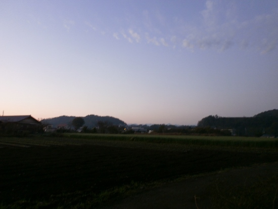 d0000995_21413446.jpg