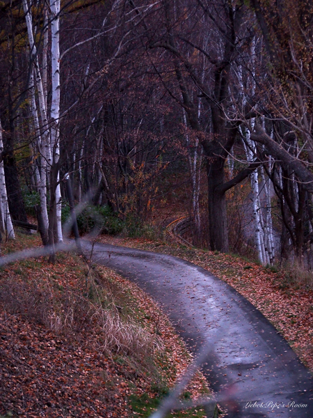 f0001895_18134614.jpg