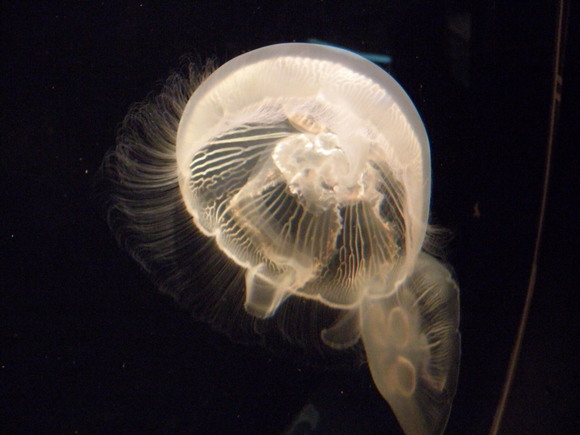 f0307097_45485.jpg