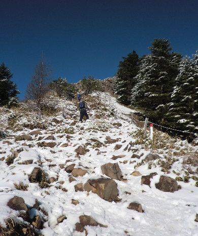 d0299604_2136450.jpg
