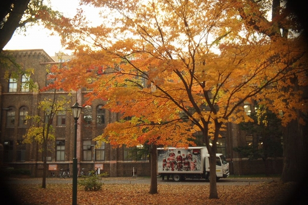 c0202705_11504641.jpg