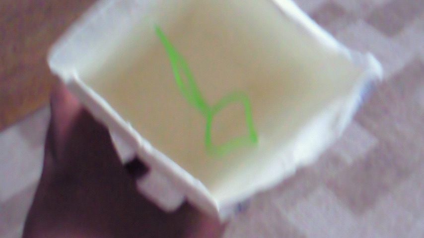 d0149105_18174639.jpg